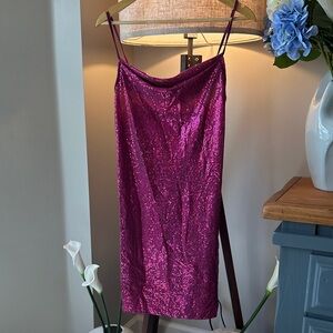 Bebe Fuchsia Sequin Slip Mini Dress